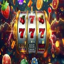 7979